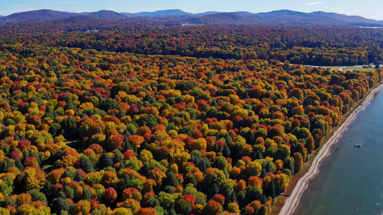 Aerial video captures vibrant autumn forest with a sweeping view of colorful treetops and a serene