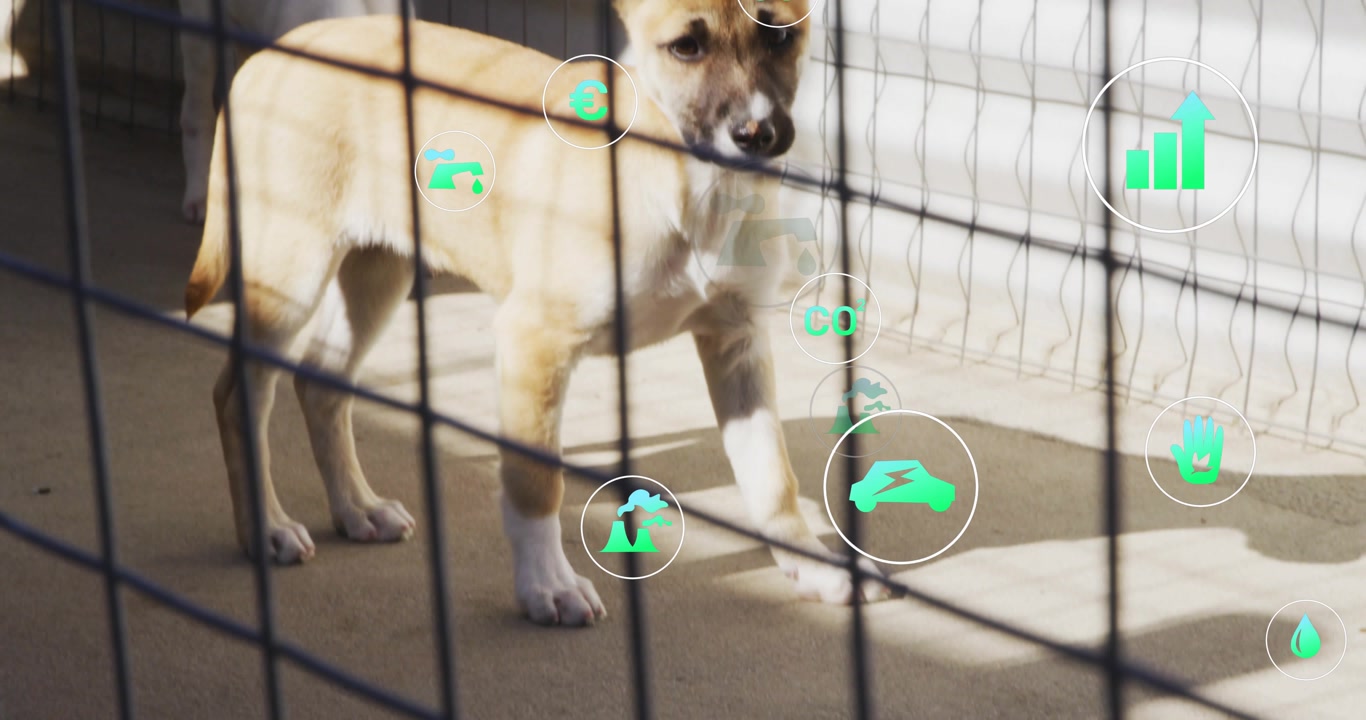 On start tan puppy sniffing concrete while white pup watching green data icons tracking resources