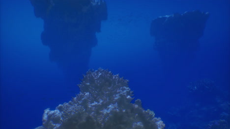 exploring the underwater world of vibrant corals and mysterious rock formations