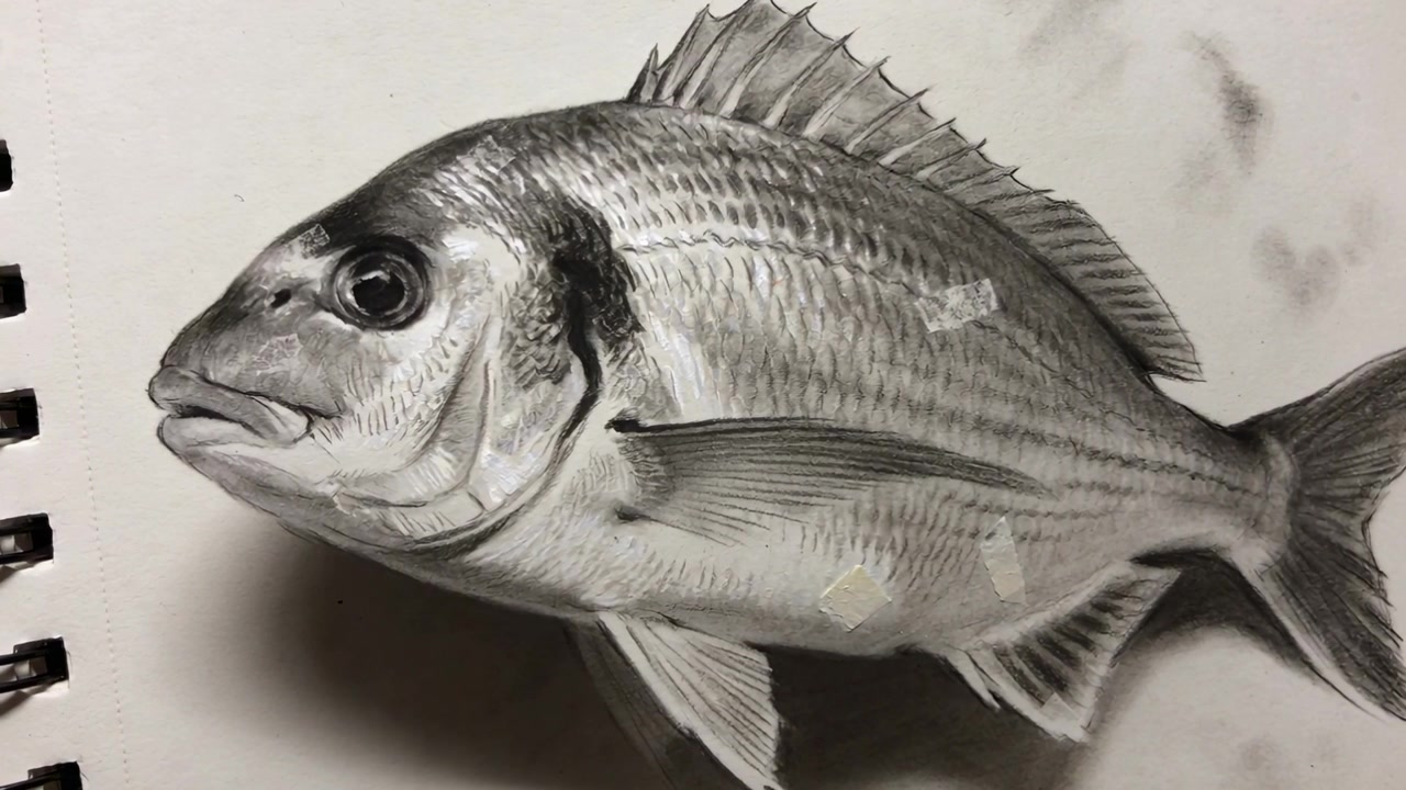 Caméra panoramique glissant et zoomant sur un carnet de croquis à spirale posé sur un bureau, révélant un poisson dessiné au graphite.