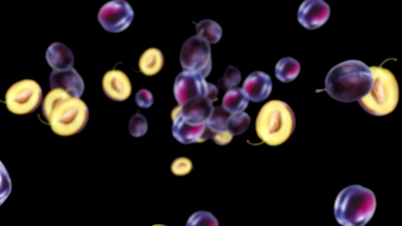 떨어지는 플 배경, 루프, 알파 채널