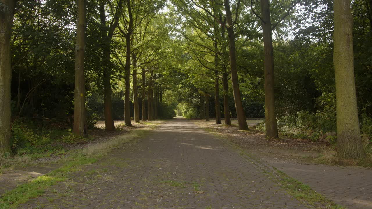 Wide view up the tree lined walkway at Carsington Water viewing area