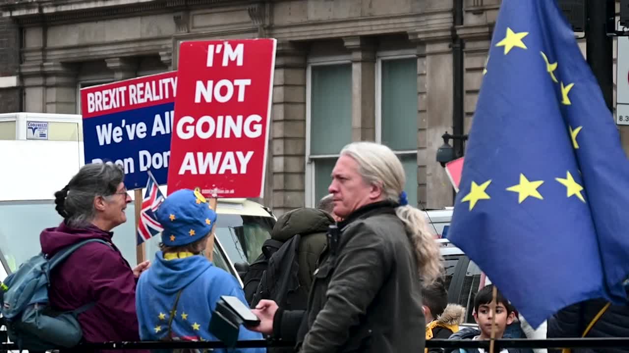 Brexit Protest in London