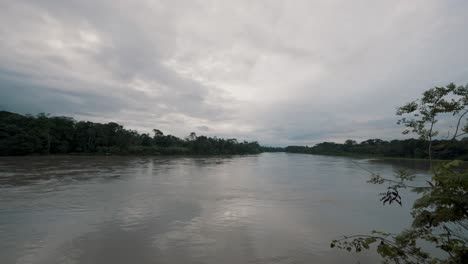 stillness of a lake in the amazon rainforest of ecuador