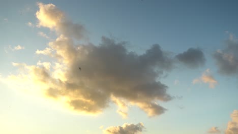 sunny cloudy sky with birds flying by