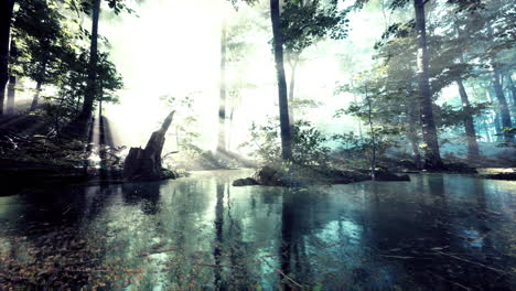 lake in the dark majestic evergreen forest