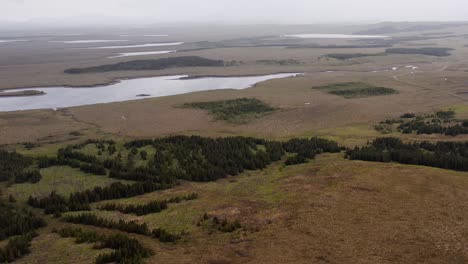 Drohnenaufnahme-Von-Seen-Und-Kiefernwäldern-Im-Moorland-Der-Isle-Of-Lewis