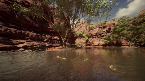 reflection in colorado river of butte catching days last rays, in grand canyon.