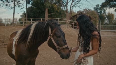 woman showing affection to a horse in an outdoor paddock