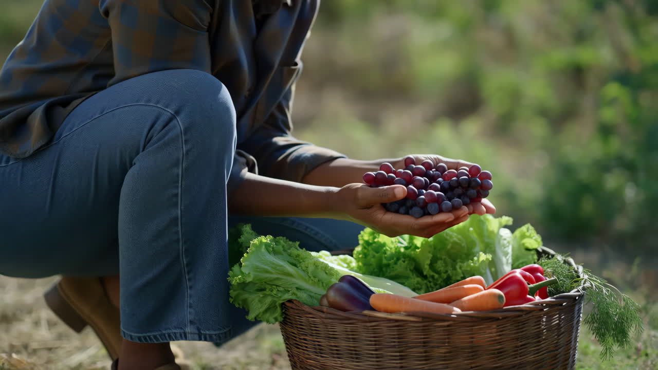 Persona che tiene uva e verdure fresche in un cesto dopo il raccolto