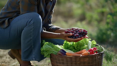 person holding grapes and fresh vegetables in a basket after harvest