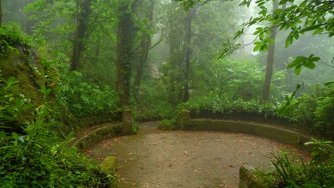 Versteckter-Ort-Im-Pena-Park---Alte-Ovale-Steinbank,-Bedeckt-Mit-Moos