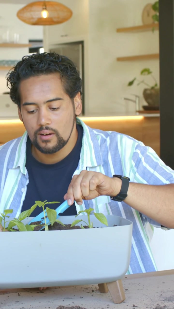 Vertical video: Grabbing trowel, man in striped shirt tending seedlings in kitchen to check planter