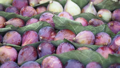 closeup of fresh figs