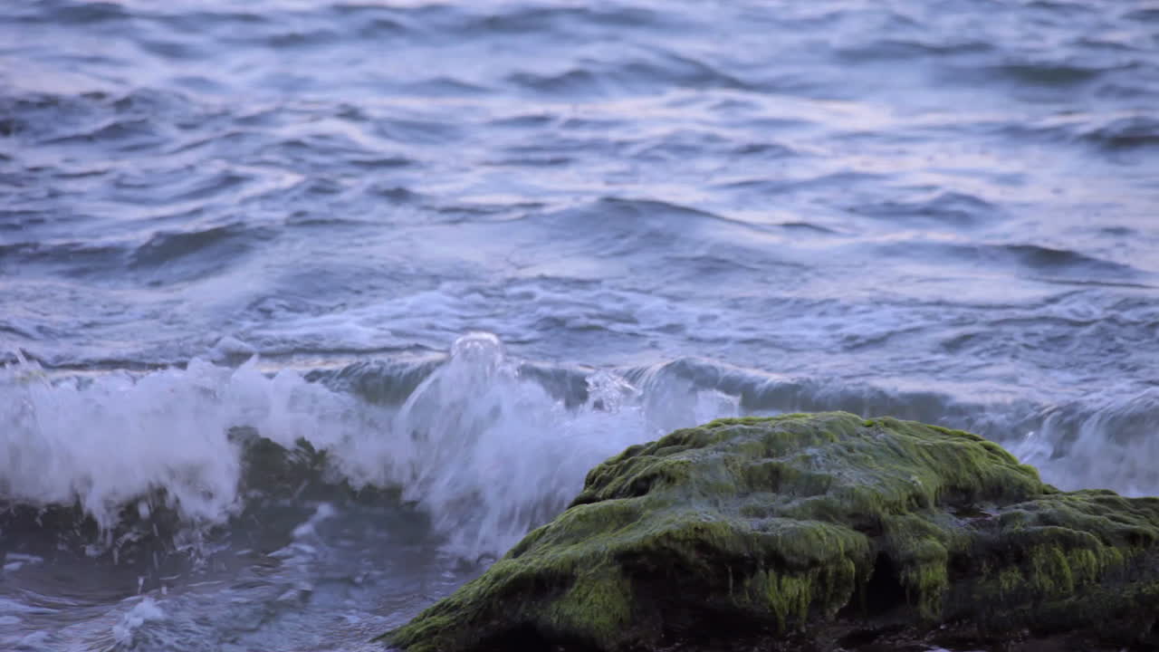 카라데레 비치 12