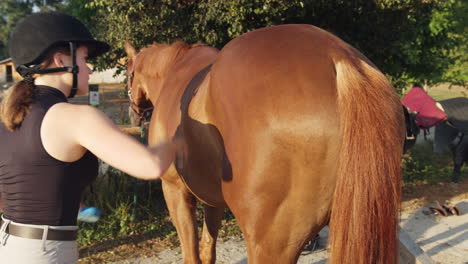 woman with a riding helmet brushing horse before ride, handheld shot