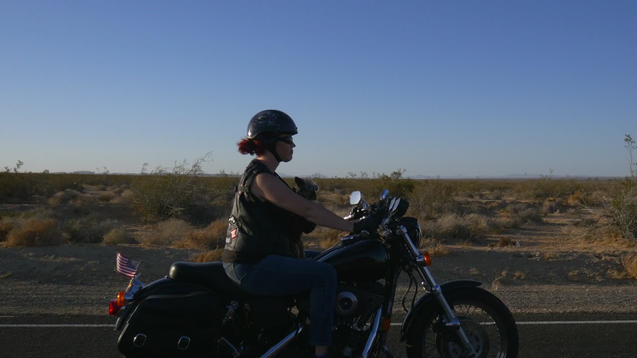 Motociclista donna con cane