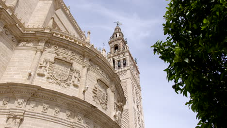 the prayer hall exterior of the courtyard of orange trees of giralda bell tower, sevilla, spain