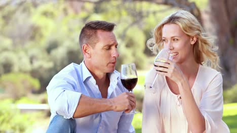 Glückliches-Paar,-Das-Anstößt-Und-Rotwein-Trinkt
