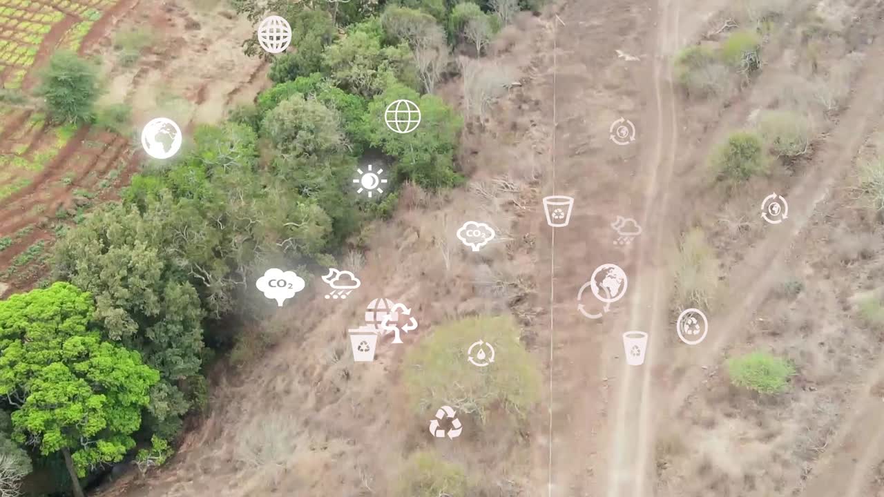 vista aérea futurista de drones de la cobertura forestal