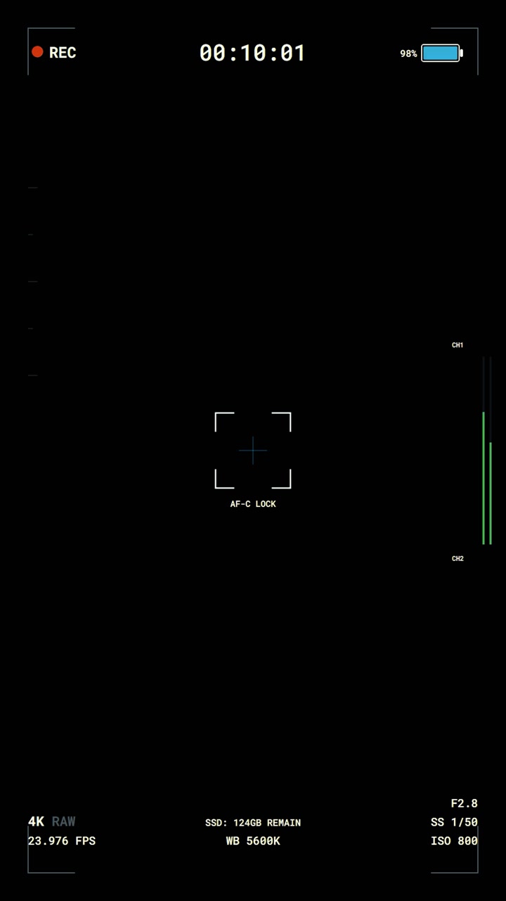 Digital Camera Recording Interface Overlay