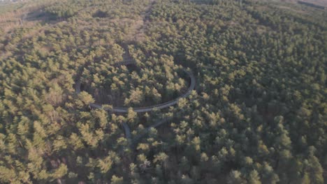 Bosque-Denso-E-Interminable-Con-Sendero-Circular,-Vista-Aérea