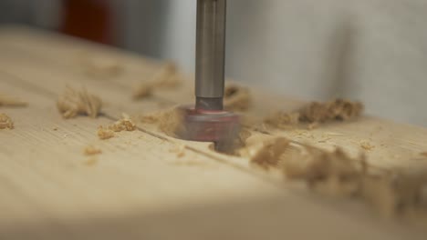 pillar drillbit cutting holes in white oak close up