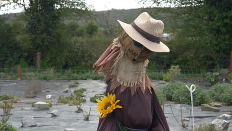 Eine-Humanoide-Vogelscheuche-Steht-Mitten-Auf-Dem-Bauernhof-In-Irland,-County-Laois,-Europa