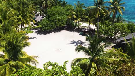 hut cottages with dense tropical forest at kalanggaman island in palompon, province of leyte, philippines