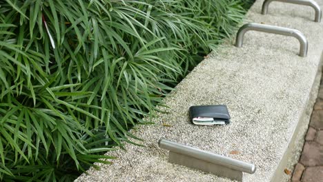 lost wallet on a park bench