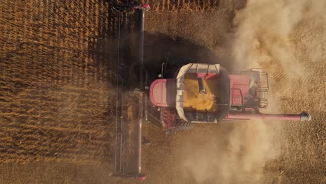 Top-View-Of-A-Combine-Harvesting-Soy-Beans-On-Sunset-In-Monroe-County-Michigan,-USA