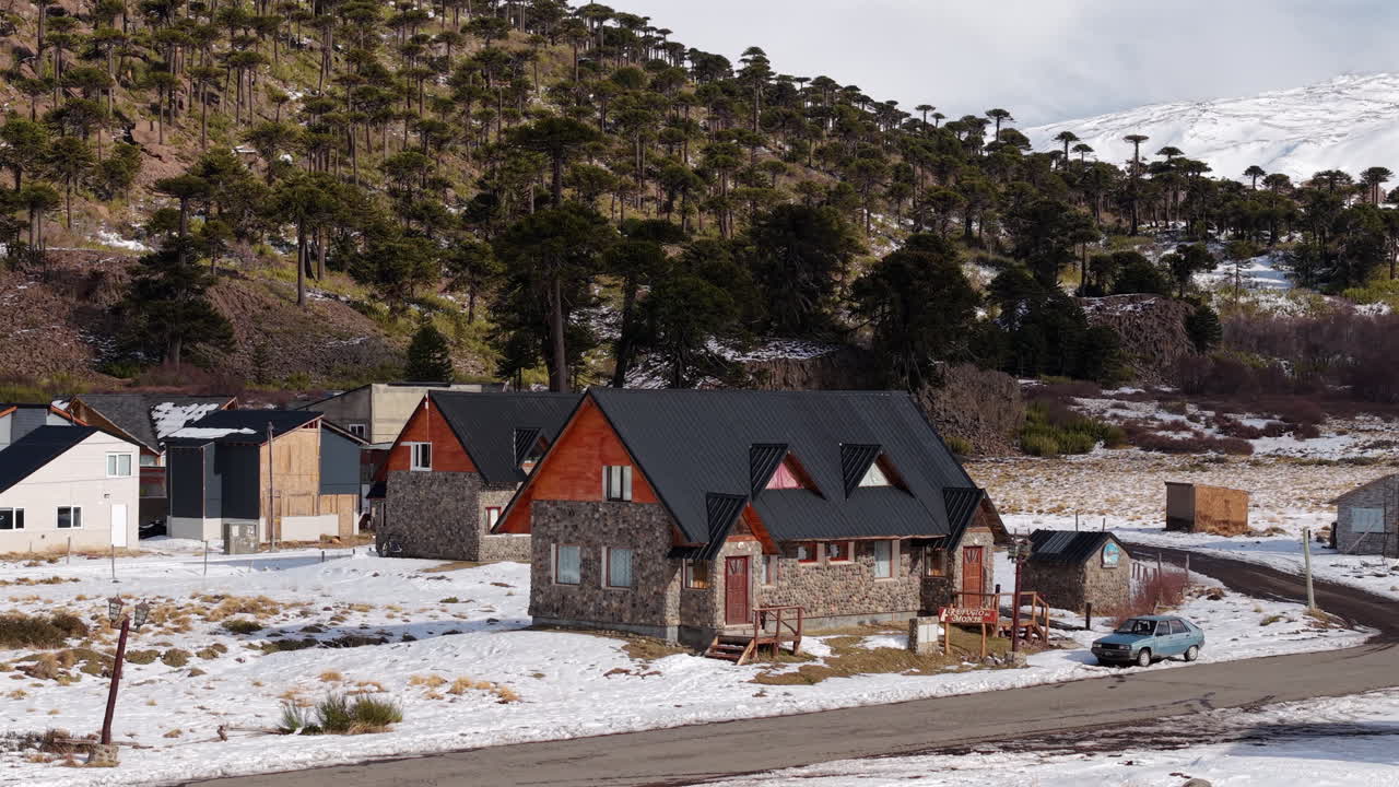 Caviahue’s stone and wood cabins set against snowy ground, with the iconic Araucaria (monkey puzzle) trees rising along the volcanic slopes of the Patagonian Andes, drone orbit