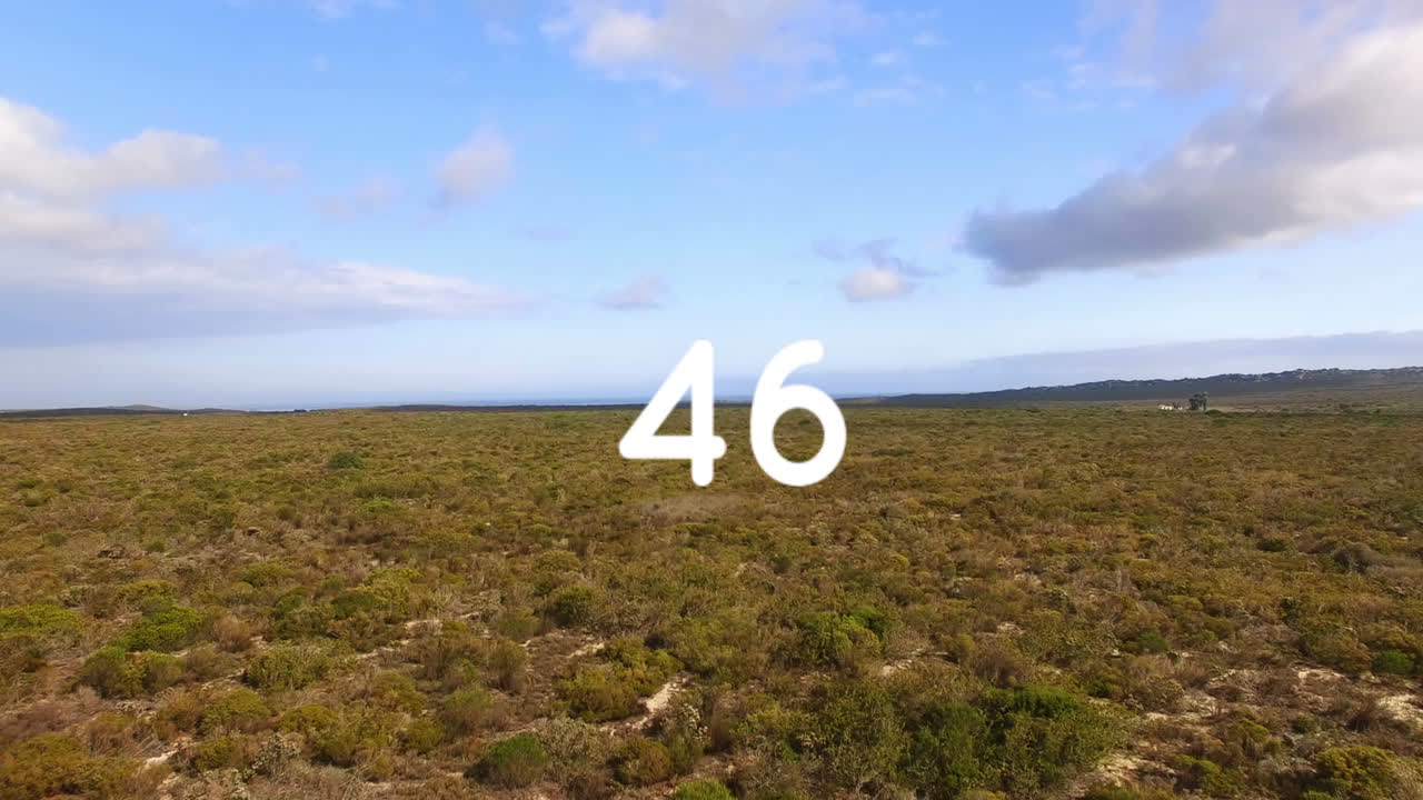 aumento de la popularidad en las redes sociales 4k