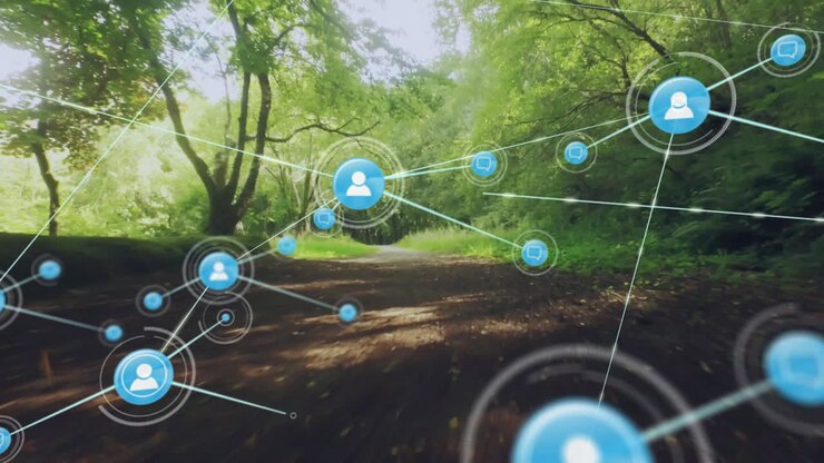 Digital network overlay floating over sunlit forest path, connecting blue icons with glowing lines