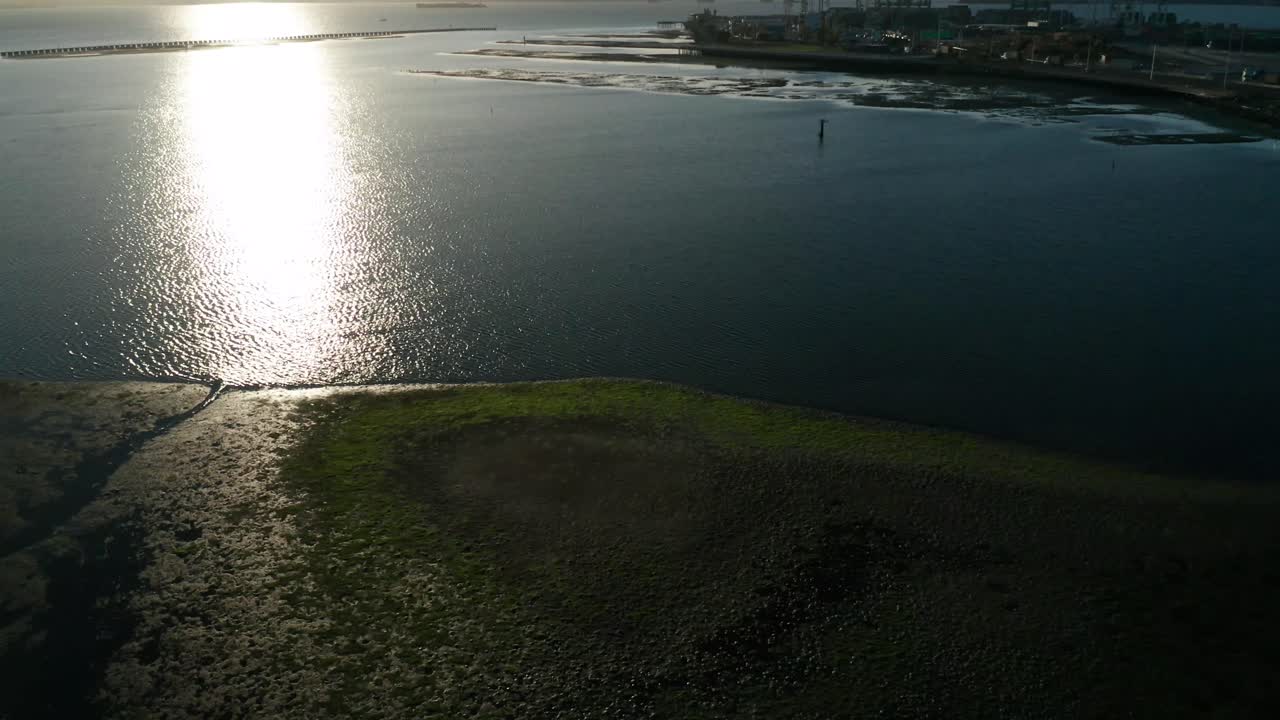 썰물은 베이 해안의 늪지대를 드러냅니다.