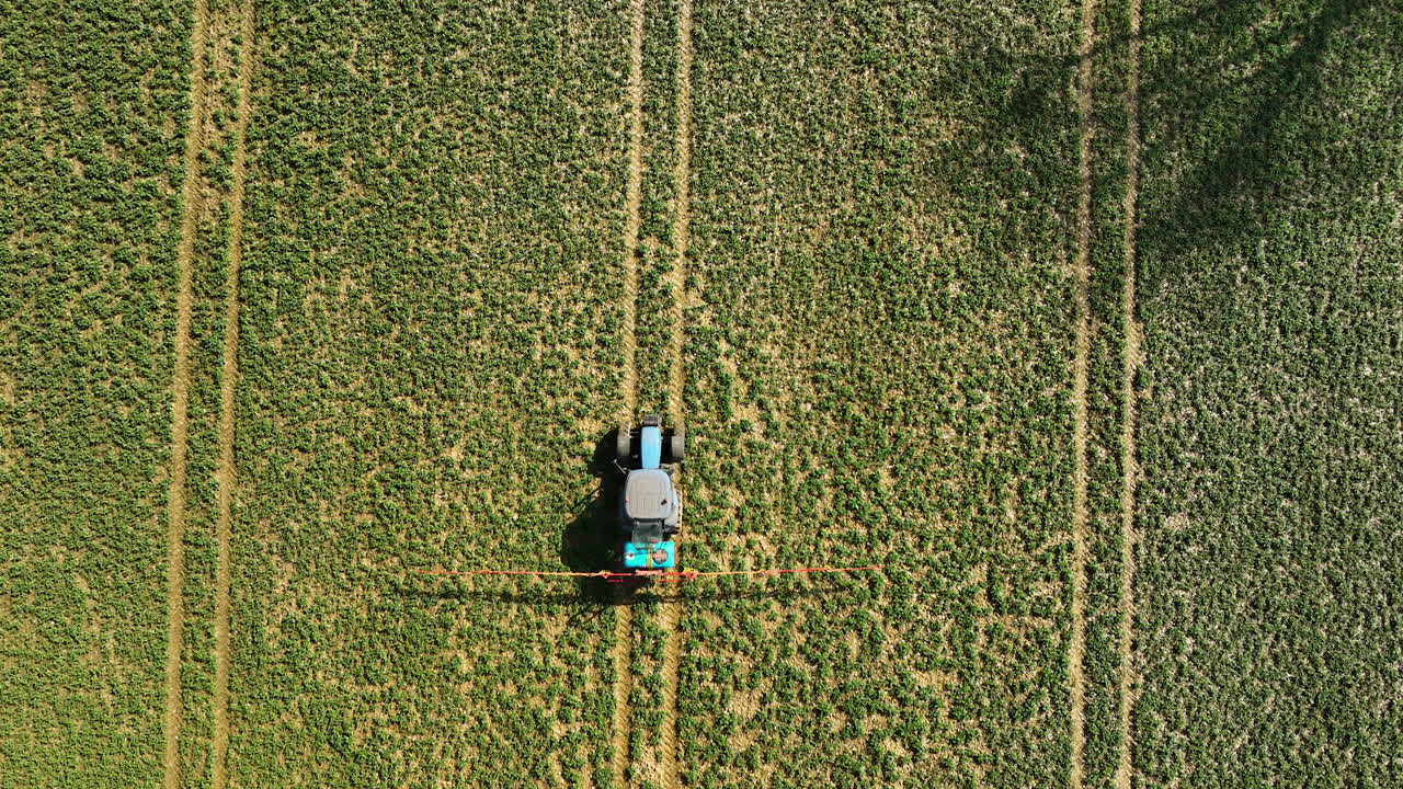 Una ripresa aerea direttamente sopra un trattore in un campo, che enfatizza le linee rette delle file di colture