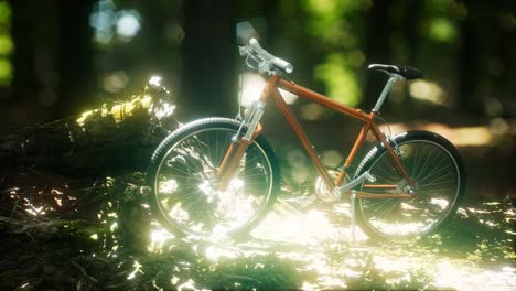 Mountain-bike-on-the-forest-path