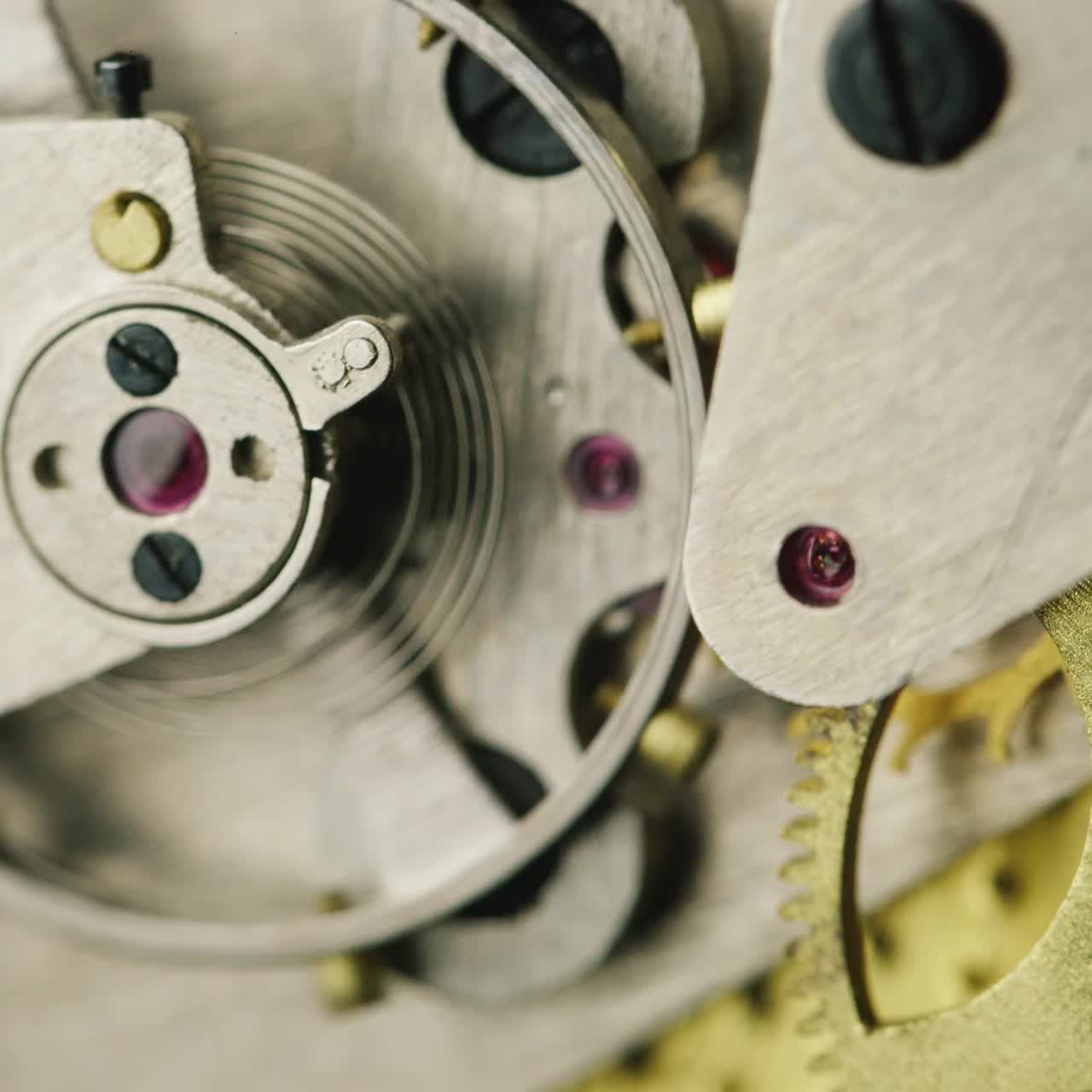 Internal mechanism of working mechanical watches
