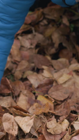 primer plano de las manos de un niño recogiendo hojas secas de otoño, mostrando a un joven interactuando con la naturaleza durante la temporada de otoño