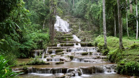 Der-Tiefe-Wald-Des-Pha-Charoen-Wasserfalls-Im-Nationalpark-Ist-Eine-Beliebte-Touristenattraktion-Im-Bezirk-Phop-Phra,-Provinz-Tak,-Thailand
