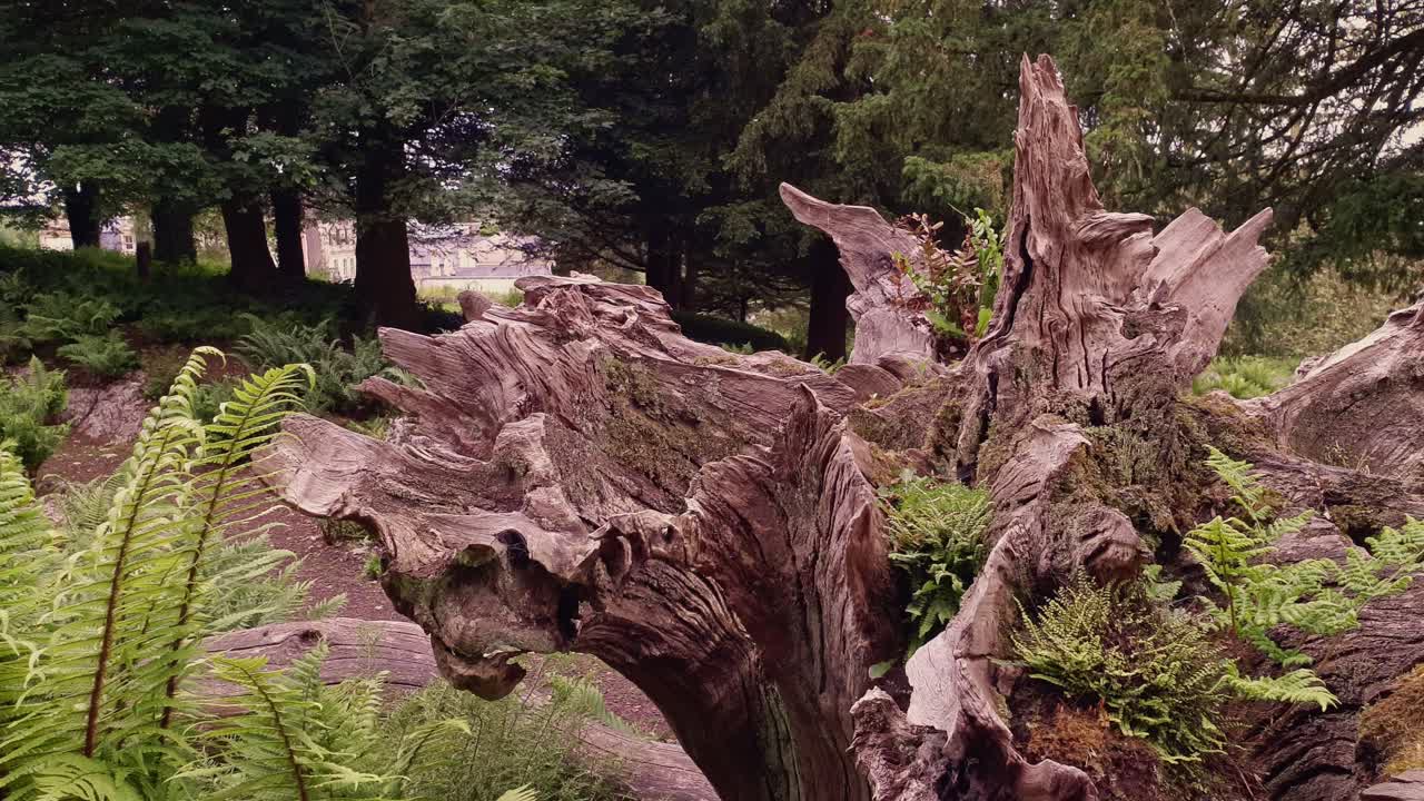 당당한 집과 정원에서 시간을 보냈습니다.