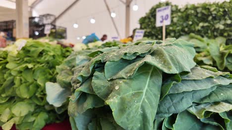 close-up of fresh leafy greens with water droplets at a market