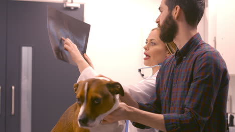 a vet explaining a radio to a man