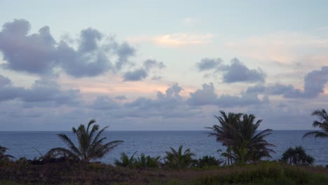 clouds moving slowly over the ocean at sunset with palms in the foreground