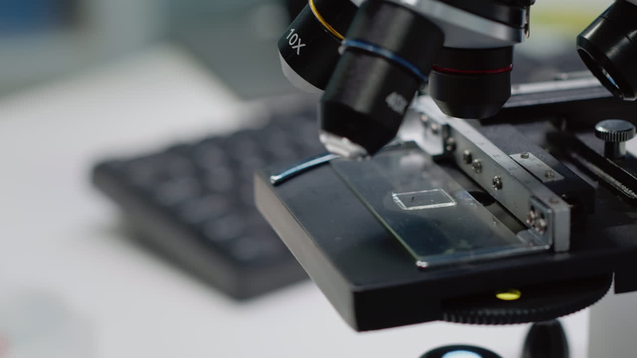 Microscopic Examination