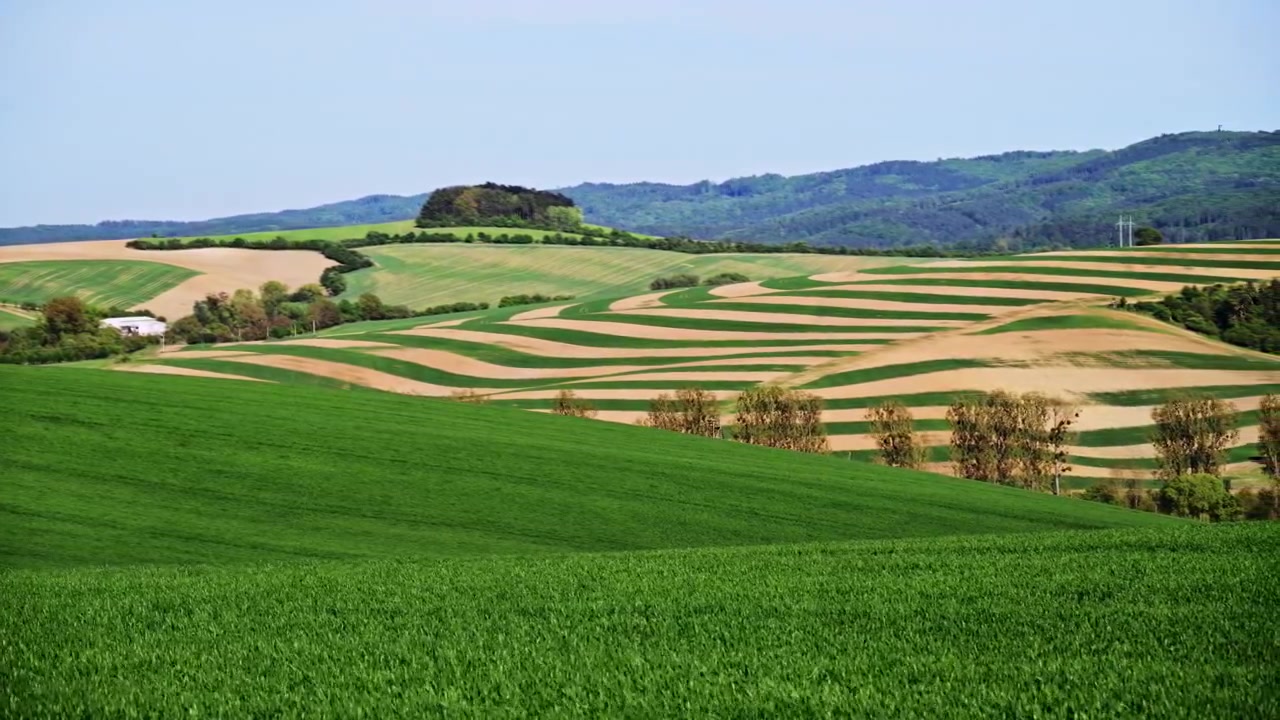 View of rolling farmland with striped green and beige fields below wooded hills, South Moravia, Czech Republic