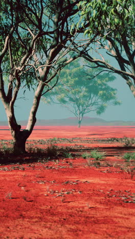 two trees in a red desert