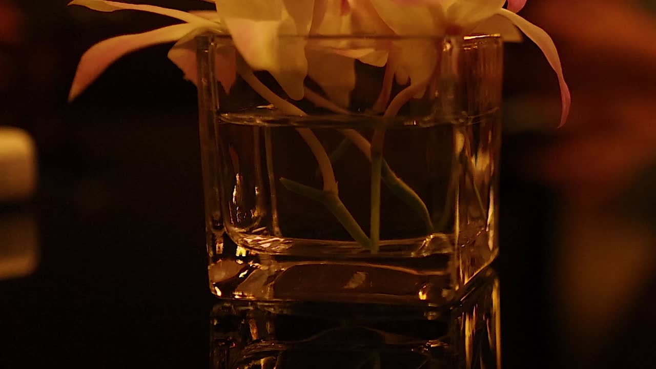 Primo piano centrato di delicati fiori bianchi in un vaso di vetro quadrato sotto una luce calda