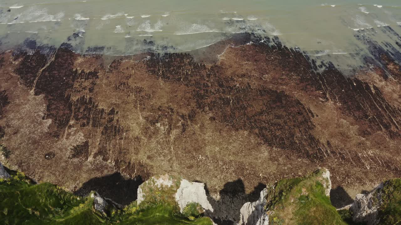 acantilados costeros y algas marinas