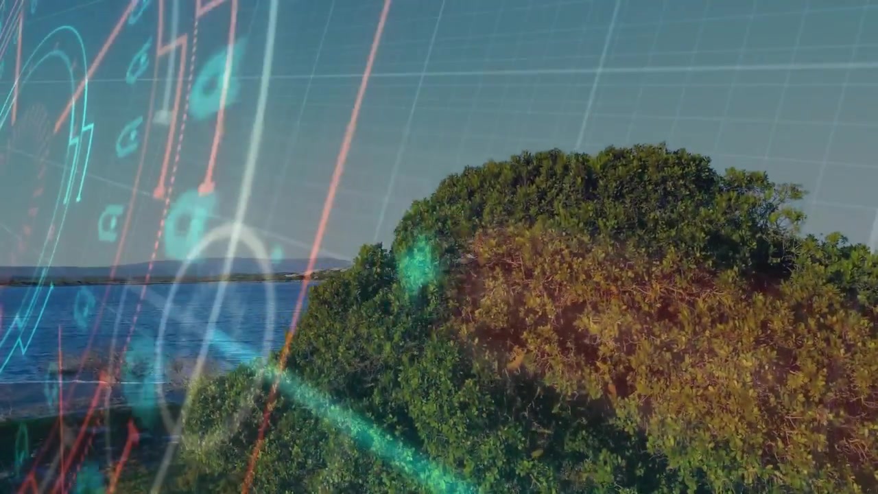 Initial HUD overlays sliding left while fading out to reveal vibrant mangrove forest and calm sea